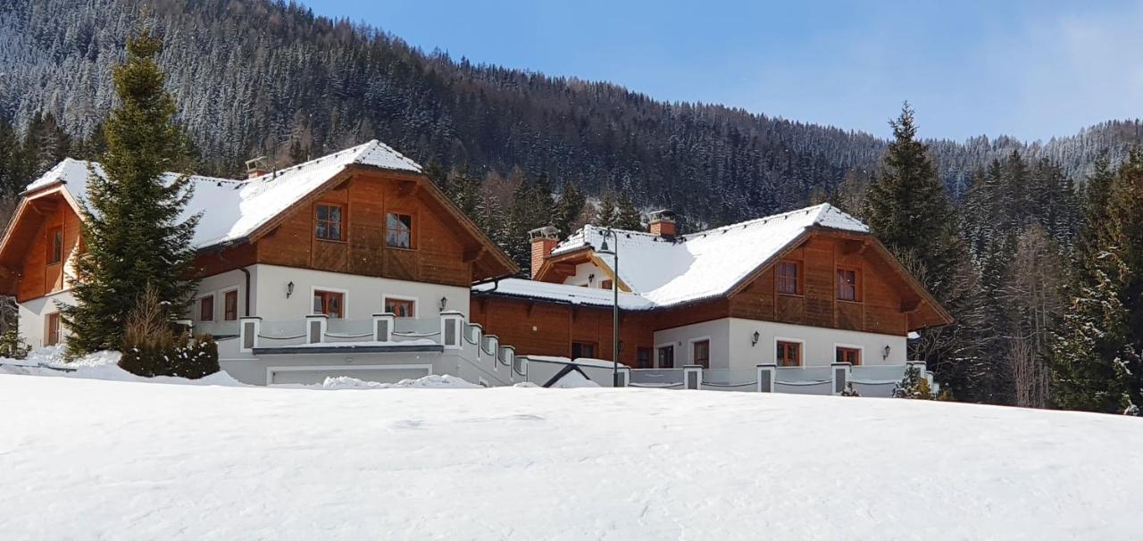 Ferienhaus Alpenblick Krakauschatten Ngoại thất bức ảnh